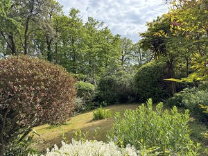 Photo 15- click for photo gallery